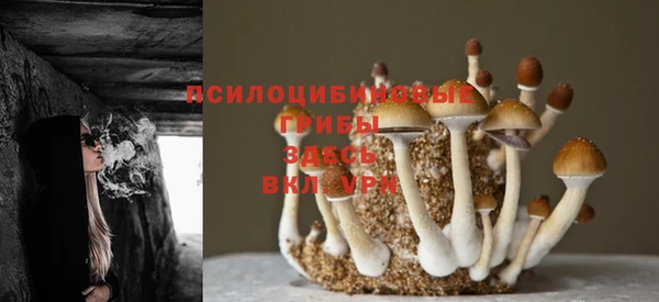 тгк Балабаново